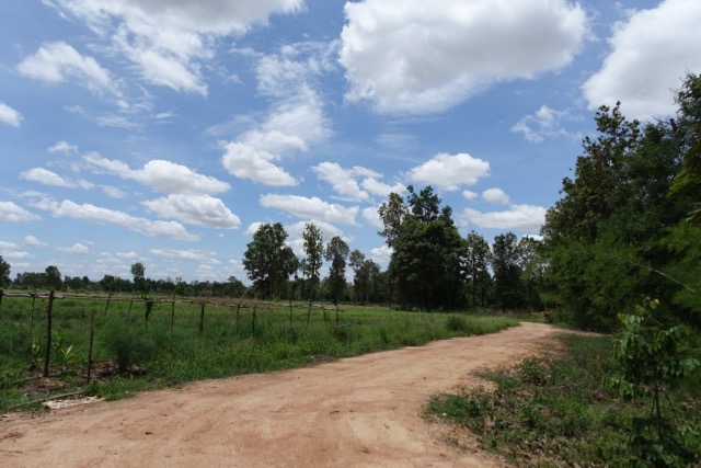 The dirt road that leads to Somkit's environmental development project, which is located a few kilometers outside of his home village Sap Deang in Khon Kaen province.