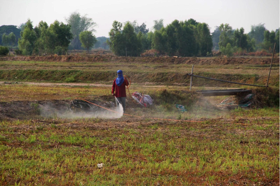 Na Samai, Yasothon - A chemical sprayer can douses fields with almost 20 tanks of liquid herbicides per day. Photo credit: Ariana Paredes-Vincent